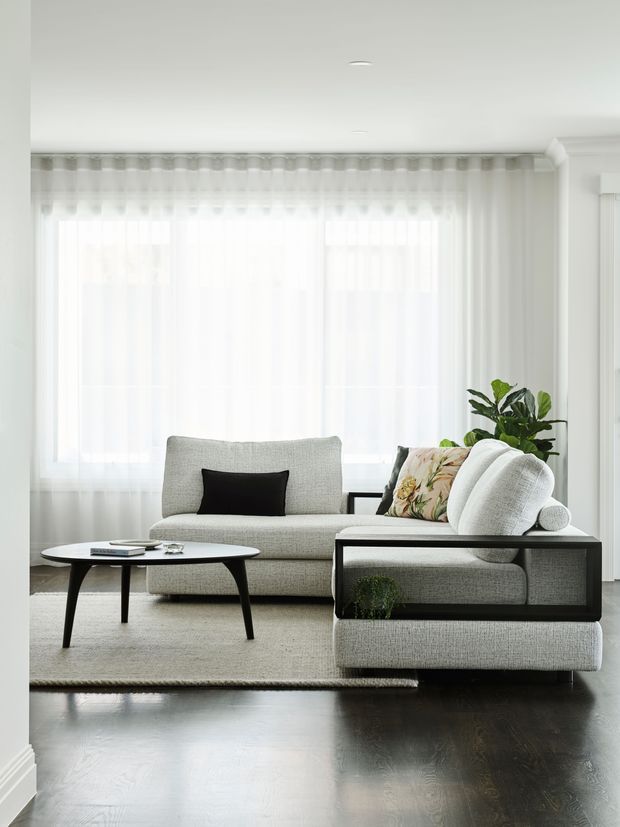 Bright, refined living room with a light grey sectional sofa, black-framed coffee table, pale textured area rug, dark timber flooring, and sheer floor-to-ceiling curtains over large windows. A leafy indoor plant and patterned cushions add natural and decorative accents. The room has a clean, contemporary composition with abundant diffused daylight and subtle traditional wall and ceiling detailing.