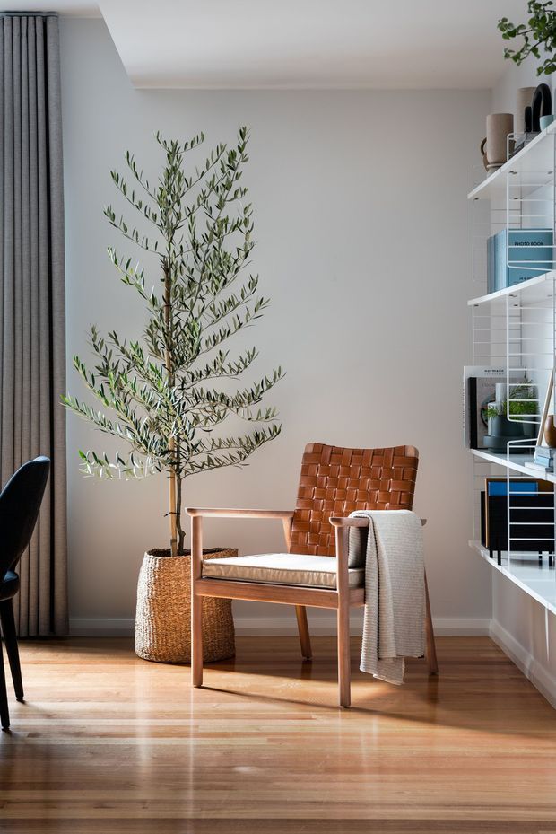 A bright, calm interior corner featuring a mid-century style leather lounge chair with timber arms and legs, positioned on polished timber flooring beside a tall potted olive tree. Floor-to-ceiling dark curtains frame the left side, while white open shelving with books, artwork, storage boxes and plants lines the right wall. A light neutral wall and warm natural materials create a refined, inviting reading or living area.