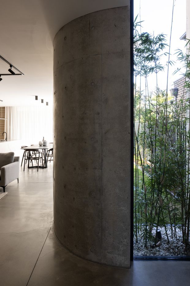 Interior view of a contemporary open-plan living and dining area divided by a large curved exposed concrete wall. A polished concrete floor, minimalist track lighting, light upholstered seating, timber dining furniture, and full-height glazing overlooking a planted courtyard create a restrained, light-filled composition.