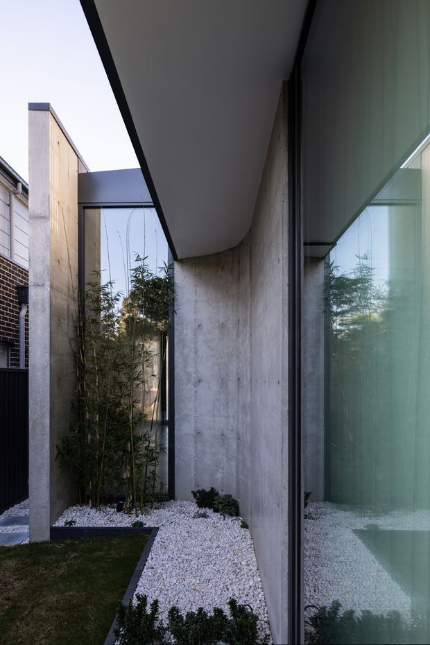 A narrow landscaped courtyard beside a contemporary residence, featuring a raw concrete wall and columns, black-framed floor-to-ceiling glazing, a projecting flat roof canopy, white gravel beds, clipped shrubs, bamboo planting, and a small lawn. The view emphasizes the building's minimalist exterior architecture and intimate garden passage.