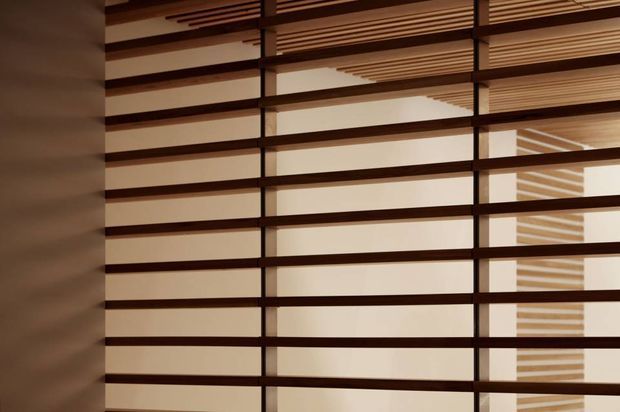 Close-up architectural interior detail of dark timber horizontal slatted screening or balustrade, creating strong linear shadows across a pale wall and stair or landing area beyond. The image focuses on the screen, filtered light, and layered architectural geometry, with no furnishings visible.