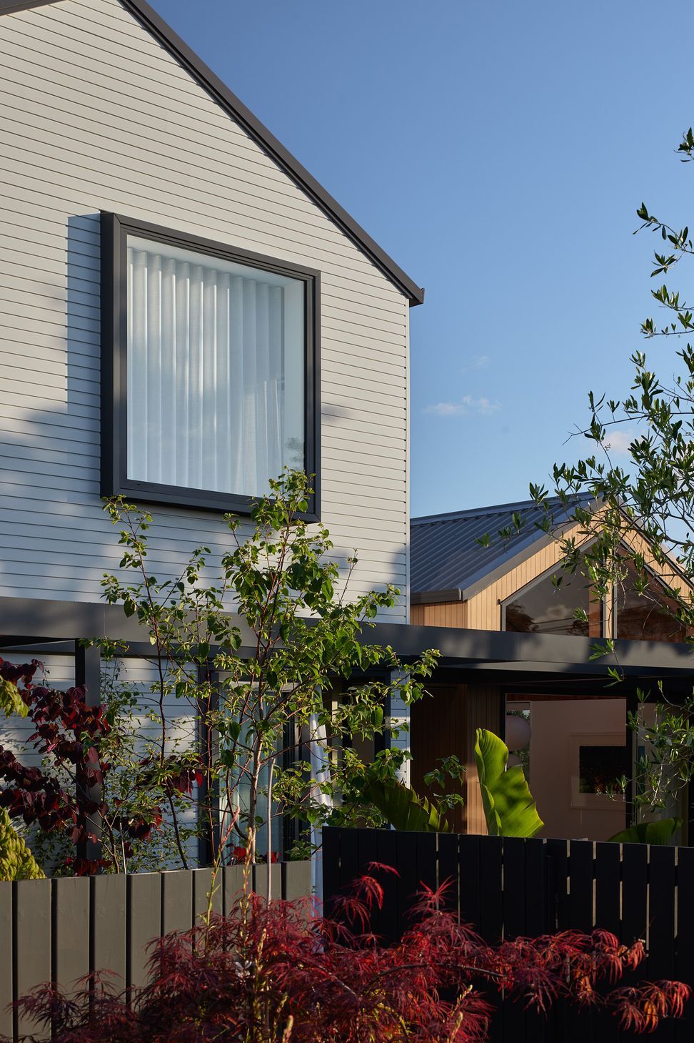 Viewed from the street, the new home presents a calm and contemporary façade with horizontal weatherboards, a square picture window and mature garden planting that softens the architecture.