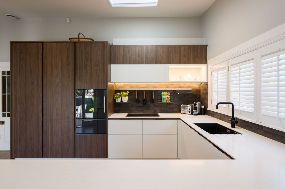 Tasman Elm Creates Richness