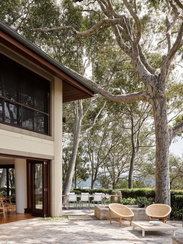 A two-storey contemporary house set among mature eucalyptus trees, viewed from an outdoor paved terrace. The facade combines pale rendered walls, dark timber-framed glazing, and a projecting roof with timber soffit. The terrace includes lounge chairs, a low table, and an outdoor dining setting, with hedging and glimpses of water beyond the garden.