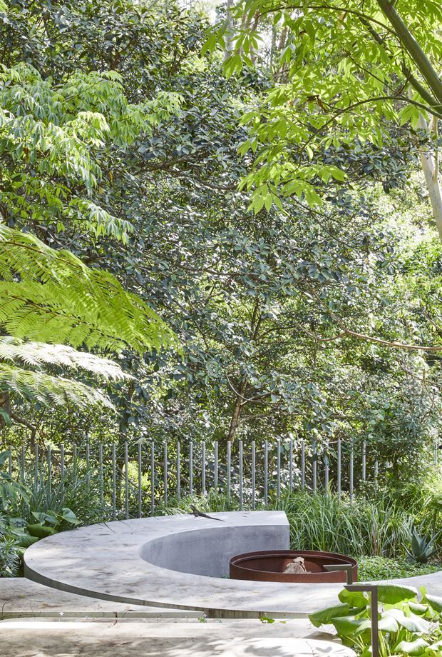Lush landscaped outdoor garden with dense tropical and fern planting surrounding a sculptural curved concrete seating or fire-pit structure. A slim vertical metal fence forms the rear boundary, with a circular recessed feature and rust-toned metal element integrated into the concrete design.