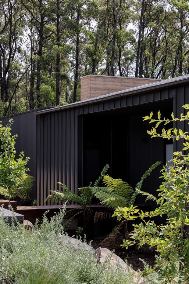 A contemporary dark-clad building set within dense native woodland and layered garden planting. The facade has vertical black cladding, a broad recessed opening, a low-pitched roof, and a contrasting pale textured upper wall volume. A timber deck and naturalistic planting with ferns occupy the foreground.