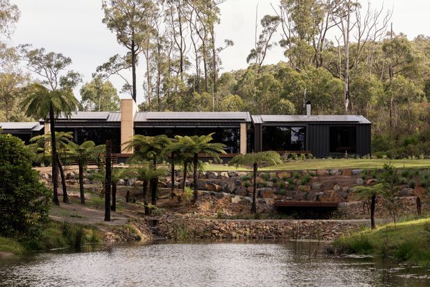 A low, elongated dark-clad modern home sits within a wooded landscape beside a small pond. The building has a series of connected flat or very low-pitched roof volumes, extensive dark glazing, and a prominent pale brick chimney. Stone retaining walls, planted gardens, tree ferns, and a timber footbridge frame the foreground.