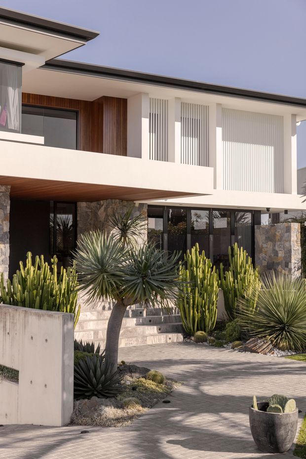 Contemporary two-storey residence viewed from the front, featuring clean white rendered walls, projecting flat roof planes, dark-framed glazing, warm vertical timber cladding, and textured natural-stone walls. A strongly landscaped entry garden uses sculptural yucca, agave, columnar cacti and gravel planting beds, with a paved path and steps leading to the glazed ground-floor entrance.