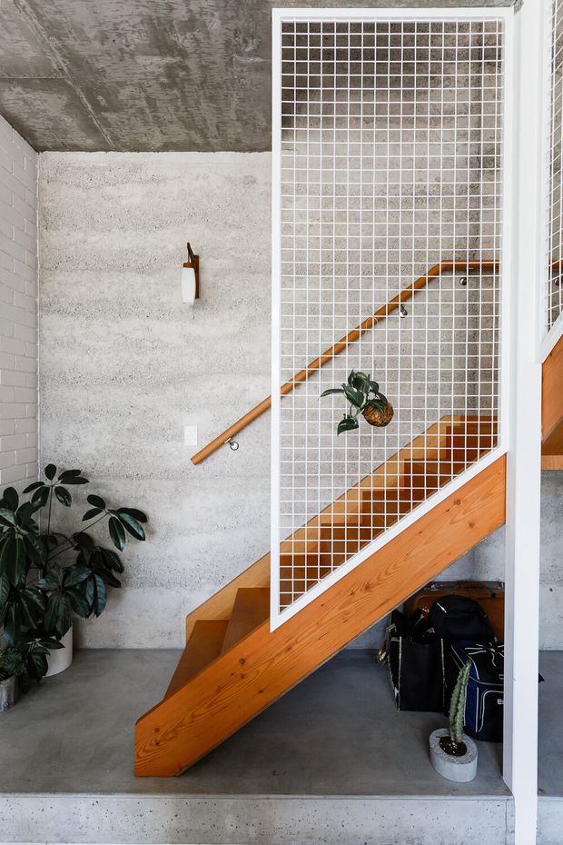 A contemporary interior stairway with a warm timber staircase and handrail, set against raw grey concrete walls and ceiling. A white wire-mesh balustrade encloses the stair, with indoor plants and bags beneath it. The space has an industrial, utilitarian character softened by natural timber and greenery.