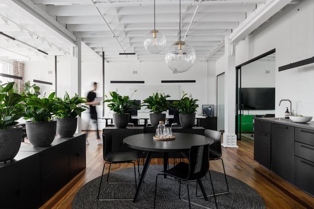 Bright open-plan contemporary interior combining a dining area, kitchen, and living space. A round dark dining table with black chairs sits on a textured rug, surrounded by large potted plants and black built-in cabinetry. The kitchen includes matte black cabinetry, a pale benchtop, a sink, and black-framed glazing. White painted brick walls, exposed white ceiling beams, timber flooring, and spherical pendant lights create a clean industrial-inspired workspace or home interior.
