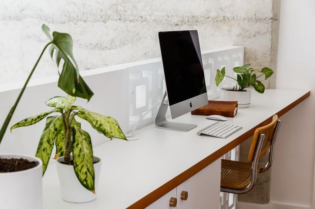 Bright minimalist home office with a long white built-in desk, warm timber edging and drawers, desktop computer, keyboard, and several potted plants. The space features a textured pale wall, white geometric privacy screen, and a modern chair with a woven seat and chrome frame.