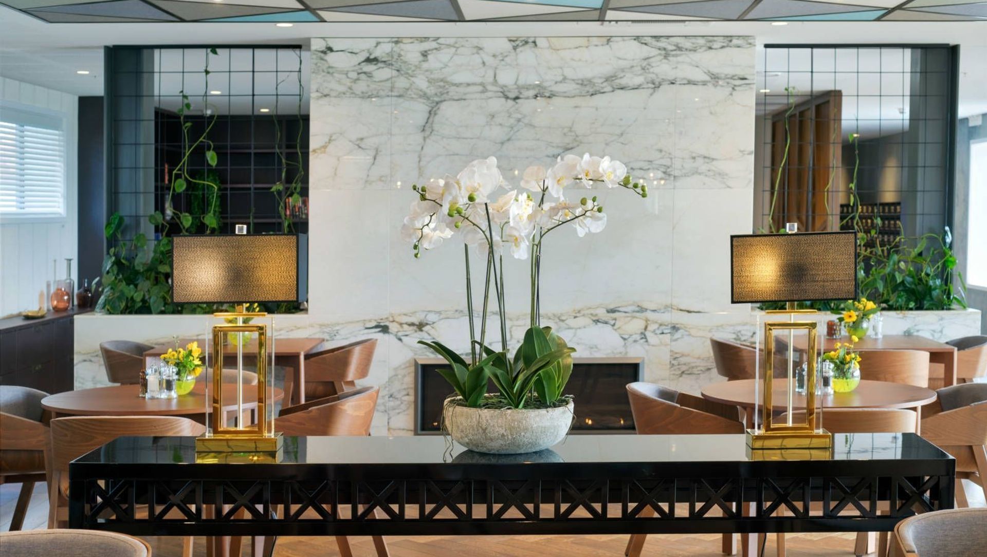 Arvida Park Lane banner