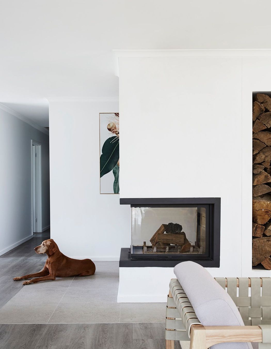 Axis EPI950 - Canberra, ACT