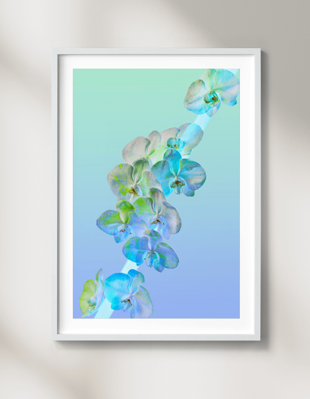 Shop: Twostyle X Acid Flwrs