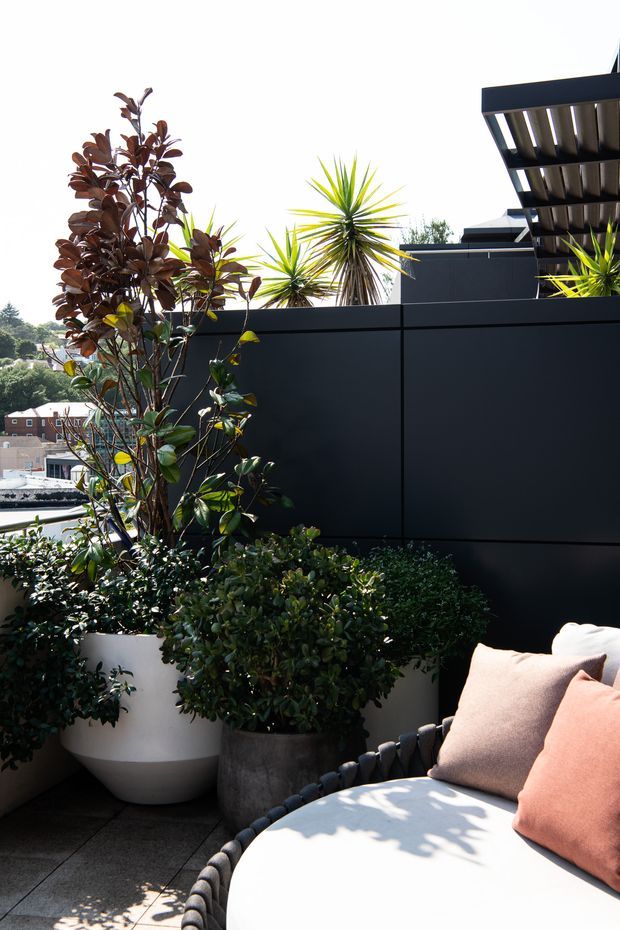 A sophisticated rooftop or elevated outdoor terrace with dark privacy screening, a modern pergola or louvred roof structure, abundant potted greenery, and a curved outdoor lounge chair with pale cushions and muted peach accent pillows. The terrace overlooks neighbouring buildings and appears bright, private, and urban.