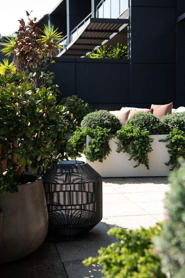 A lush contemporary outdoor terrace or courtyard beside a dark-clad modern building. The paved space features large sculptural planters, dense rounded greenery, trailing plants in a raised white planter, a black woven outdoor lantern or side table, and partially visible outdoor seating. An upper-level metal stair and balcony structure adds strong architectural definition.