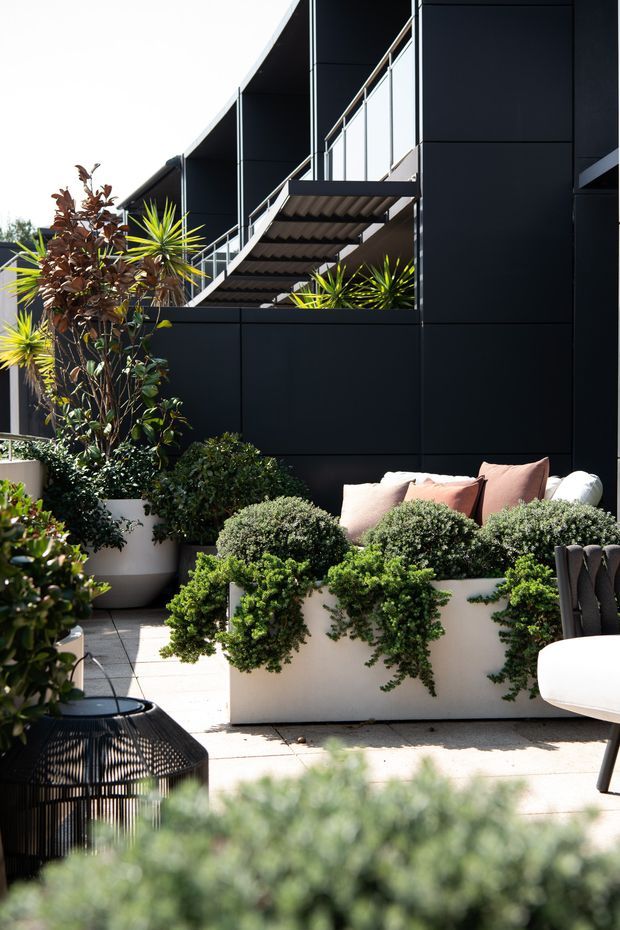 A bright landscaped outdoor terrace adjoining a contemporary black-clad building. The space features large white planters filled with sculpted shrubs and trailing greenery, outdoor lounge seating with pale cushions, light paved flooring, and a dramatic curved black facade with an external stair or balcony structure.