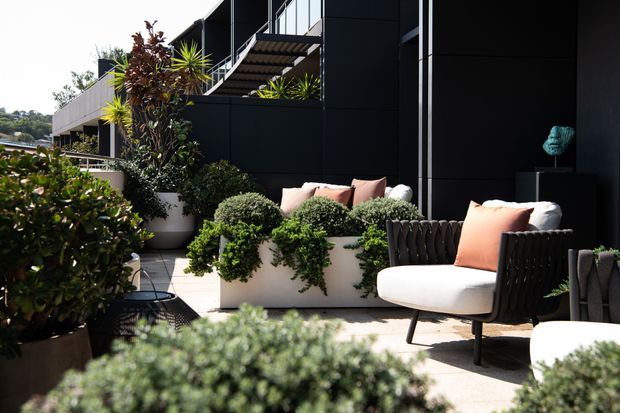 A contemporary outdoor terrace beside a dark-clad multi-level building, furnished with modern lounge chairs and pale cushions. Large white planters contain dense layered greenery, while balconies, stairs, glazing and strong geometric facade lines define the architecture. The scene is sunny and refined, with a sophisticated indoor-outdoor feel.