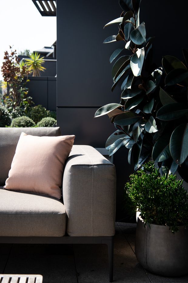 A close-up view of a refined outdoor lounge setting, featuring a light beige upholstered sectional sofa with a pale blush cushion, dark charcoal wall panels, large potted leafy plants, and neatly landscaped greenery. Strong sunlight creates high-contrast shadows and highlights across the contemporary courtyard-like space.