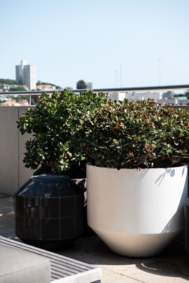 Sunny urban terrace or balcony with a dark metal railing, large sculptural white planter containing dense green shrubs, and a black ribbed decorative planter or outdoor object. Paved flooring and a distant city skyline are visible beyond the railing.