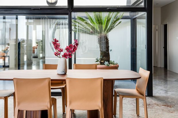Contemporary dining area with a long rounded-edge timber dining table and tan upholstered chairs. Large black-framed internal glazing separates the dining space from a bright atrium or living area, where a mature potted palm is visible. Polished concrete or stone flooring, white walls, and abundant daylight create an airy, refined interior.