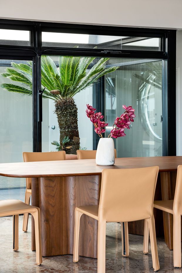 A refined dining area with a large rounded rectangular timber dining table and tan upholstered dining chairs. Black-framed glass doors and windows open visually onto a bright courtyard or atrium containing a palm, while a white vase with pink orchids forms a central tabletop accent. The room has a polished, contemporary feel with natural timber, leather-like upholstery, and patterned stone flooring.