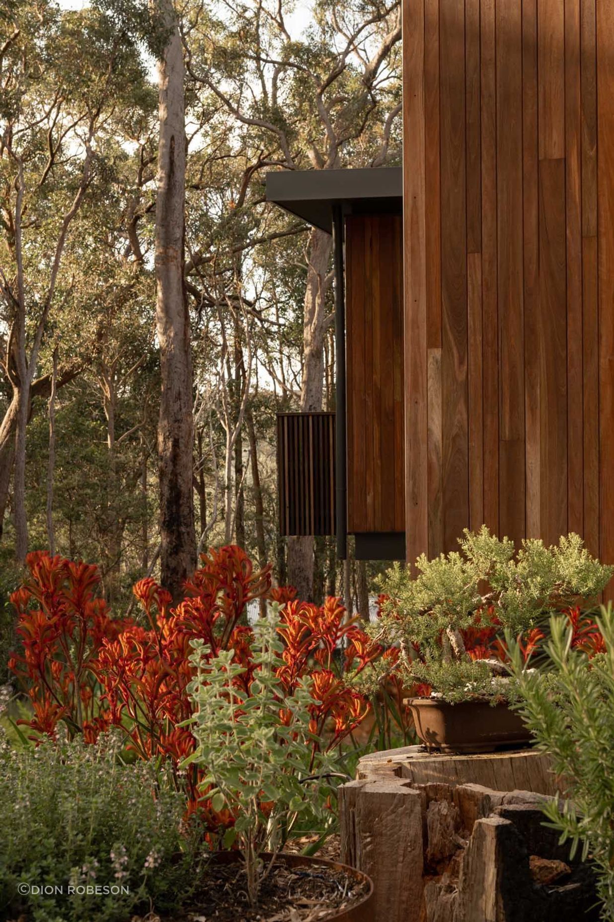 Axis-H1400-Treehouse-Margaret-River-WA-Exterior-11.jpeg