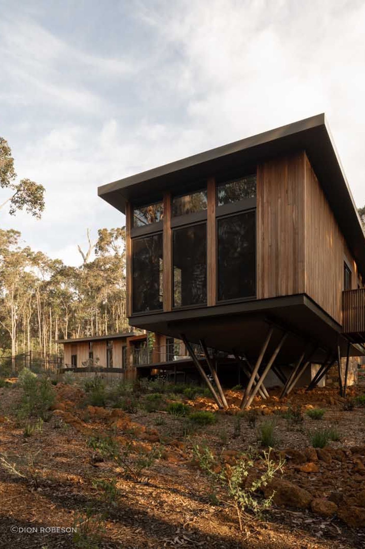 Axis-H1400-Treehouse-Margaret-River-WA-Exterior-12.jpeg