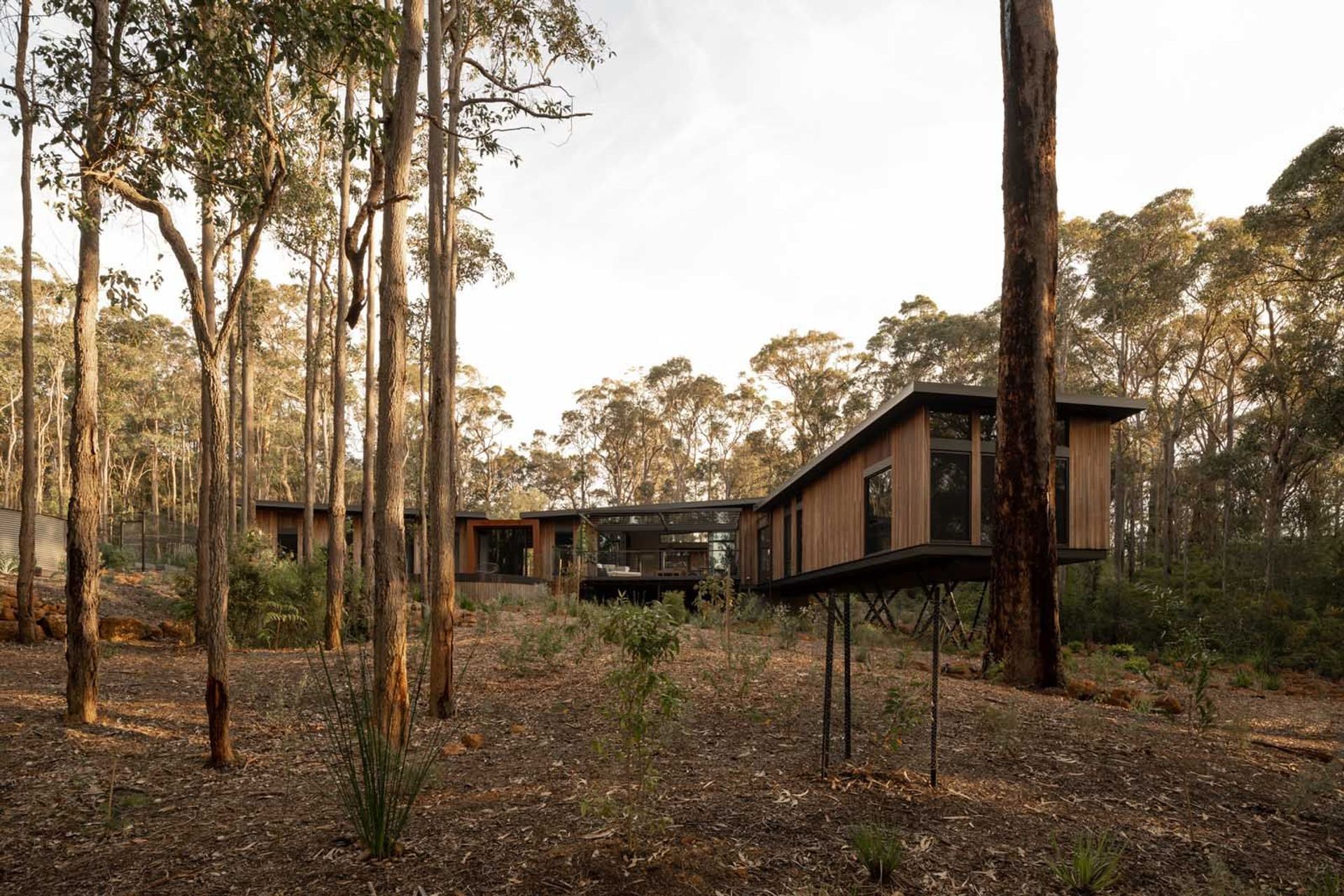 Axis-H1400-Treehouse-Margaret-River-WA-Exterior-14.jpeg