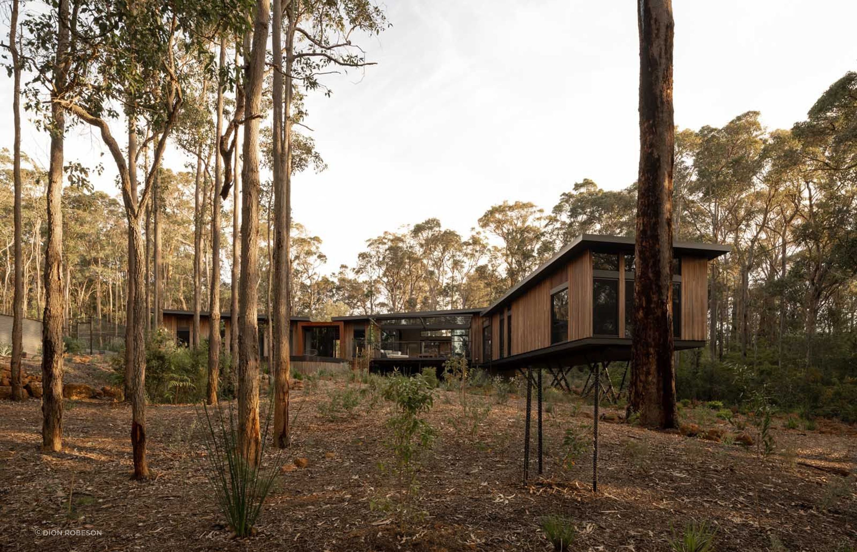 Axis-H1400-Treehouse-Margaret-River-WA-Exterior-14.jpeg