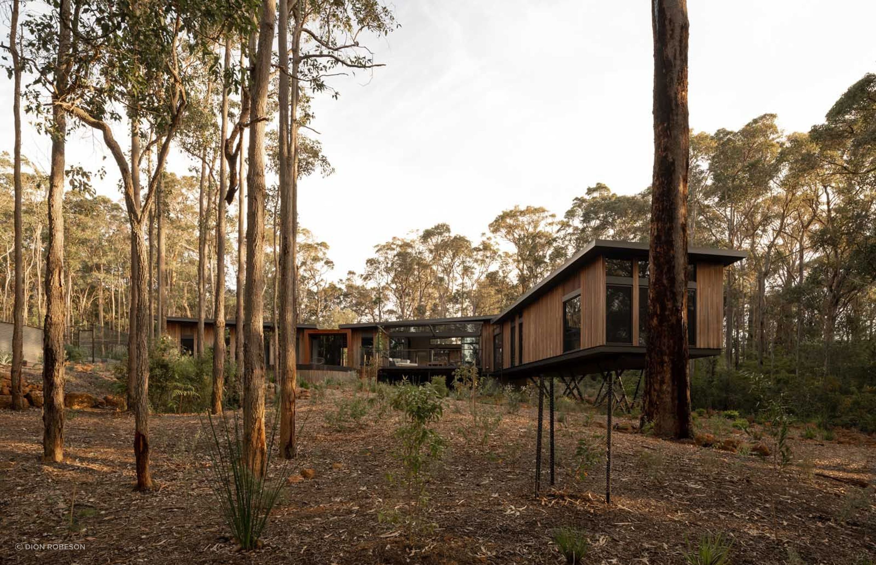 Treehouse Margaret River by Sculpt Fireplace Collection ArchiPro AU