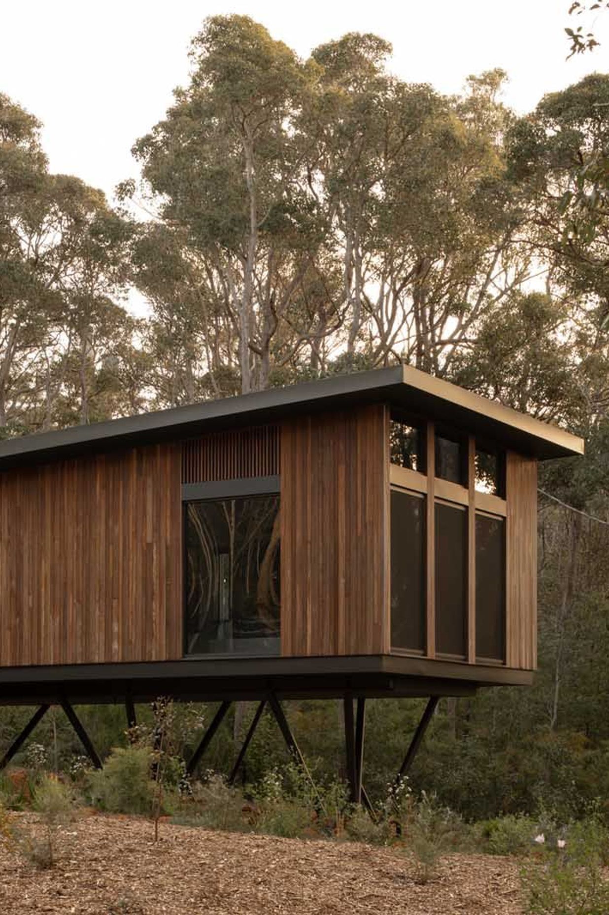 Axis-H1400-Treehouse-Margaret-River-WA-Exterior-16.jpeg