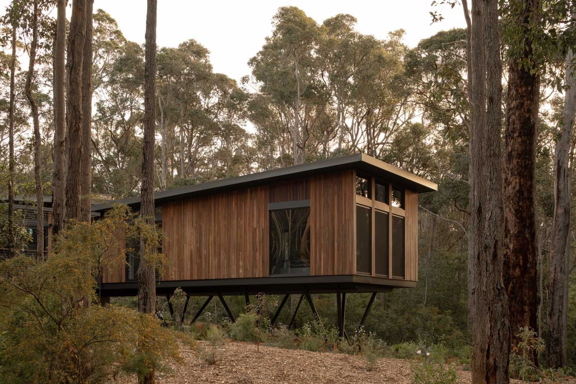 Axis-H1400-Treehouse-Margaret-River-WA-Exterior-16.jpeg