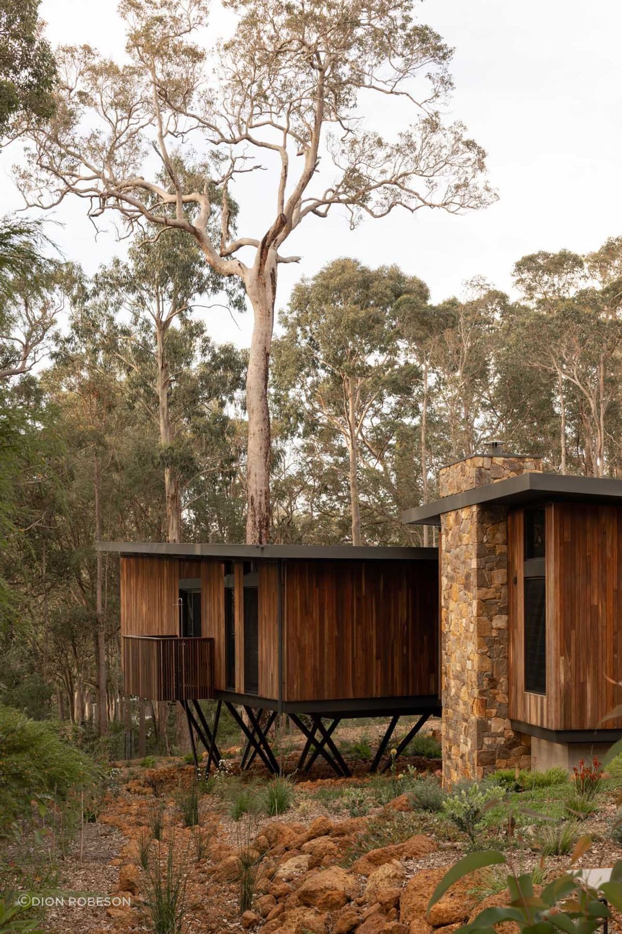 Axis-H1400-Treehouse-Margaret-River-WA-Exterior-8.jpeg