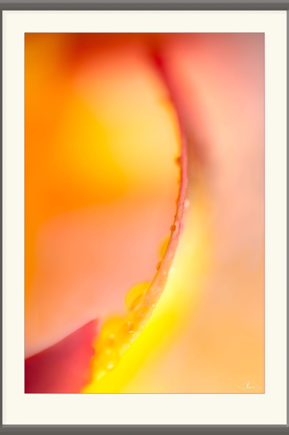 Beauty Within
