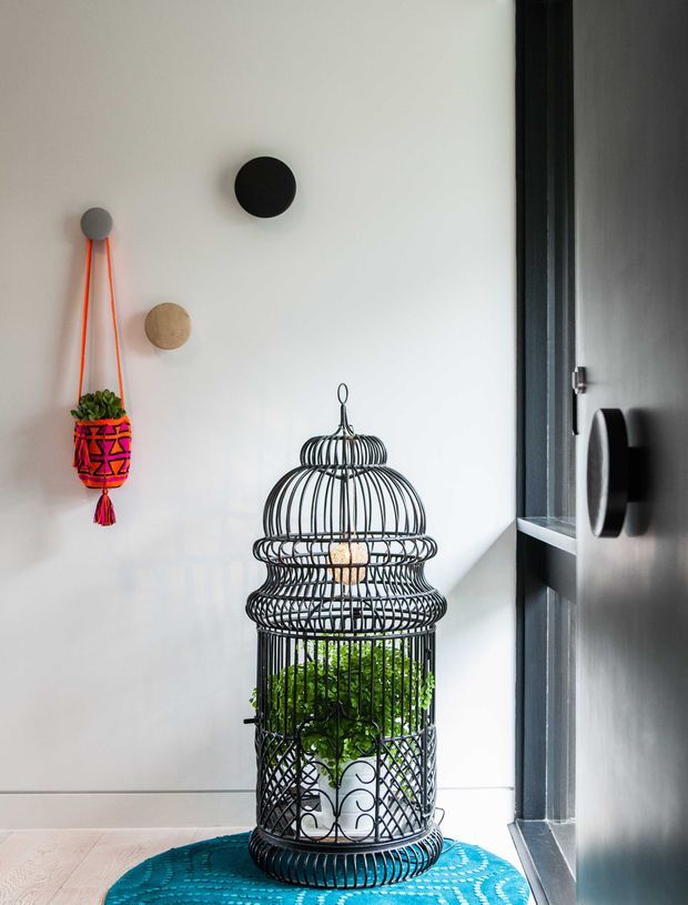 A bright, minimalist entryway vignette featuring a decorative black wire birdcage-style lantern or planter with greenery, placed on a vivid turquoise patterned rug. The white wall has simple round wall accents and a colourful hanging planter, while a dark grey door and black hardware frame the right side.