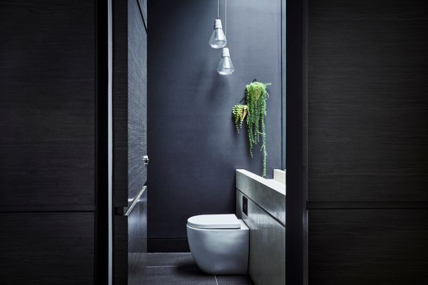 A compact, dark-toned bathroom viewed through a partially open doorway. The room features a wall-hung white toilet, a floating concrete or stone vanity with integrated basin, dark wall and floor finishes, pendant lights, and a cascading hanging plant. Black timber-look wall panelling frames the entrance.