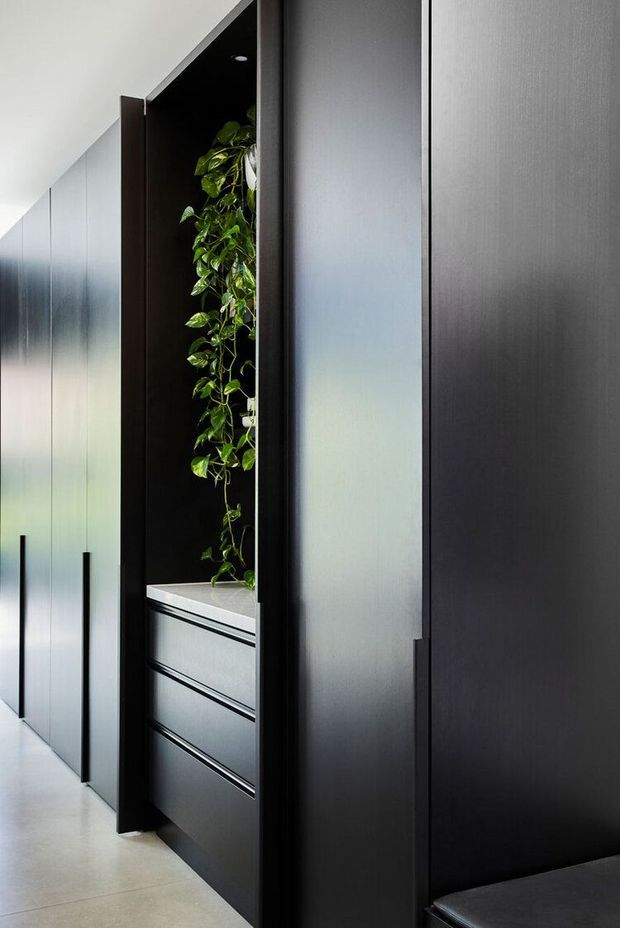 A minimalist built-in storage corridor featuring tall dark cabinetry with integrated vertical handles, a concealed drawer unit, and a narrow open niche displaying a trailing green plant. Smooth pale flooring and a white ceiling create a high-contrast, refined interior.