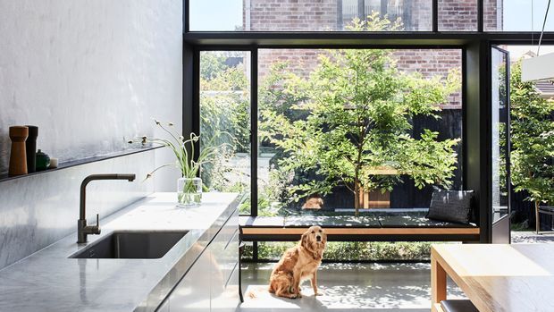Bright contemporary kitchen and dining area with a long pale stone island, integrated dark sink and tap, minimalist open shelving, black-framed floor-to-ceiling glazing, and a built-in window bench overlooking a leafy courtyard. A timber dining table and a dog are visible in the foreground.
