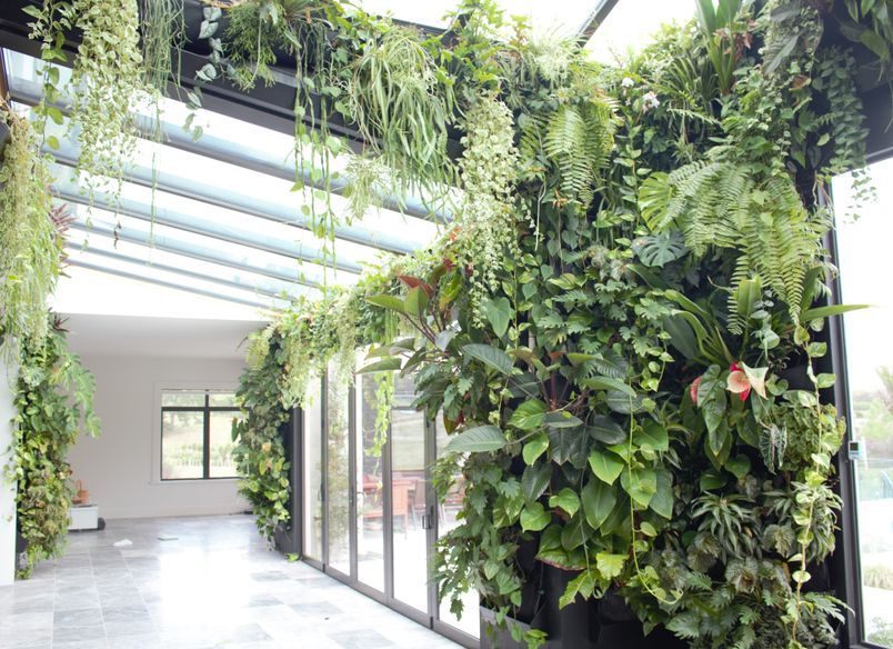 Private Home - Live Plant Wall Installation