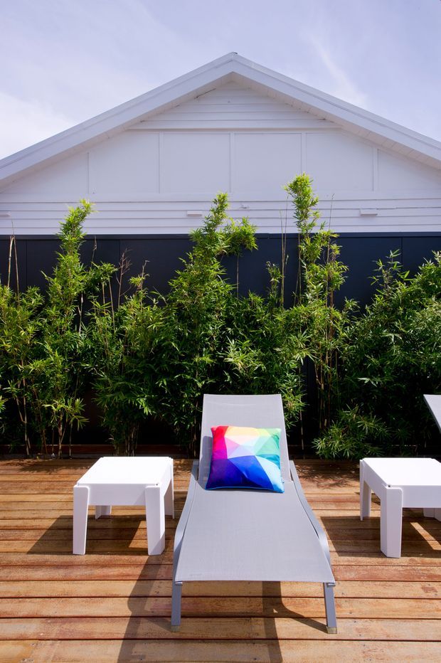 A bright outdoor terrace with a timber deck, white modern sun loungers and side tables, and a colourful cushion. Dense bamboo-like planting screens a black lower wall, while a white gabled weatherboard building facade forms the backdrop.