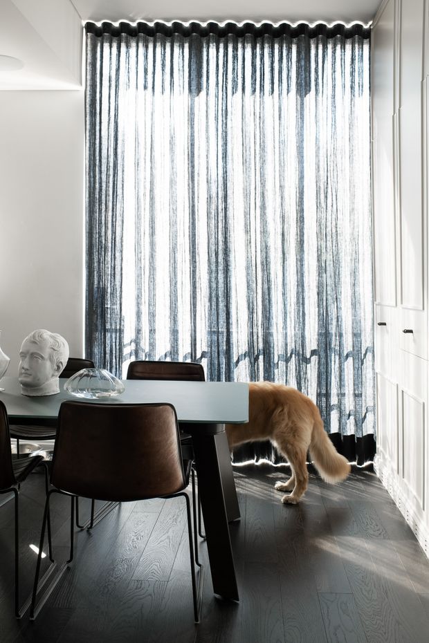 A refined dining area with a pale rectangular dining table and dark upholstered chairs positioned in front of full-height sheer charcoal curtains. White built-in wall cabinetry frames the room, while dark timber flooring, a sculptural bust, glass vessel, and a dog add character. Strong daylight filters through the curtains, creating a high-contrast yet elegant interior.