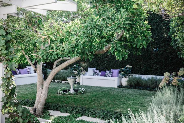 A lush landscaped courtyard garden beneath a mature tree, with built-in white outdoor bench seating arranged around a manicured lawn. Purple and patterned cushions add colour, while dense hedging, ornamental grasses, groundcover, and a small central pedestal feature create a secluded, refined outdoor setting. A white overhead structure is visible at the upper left.