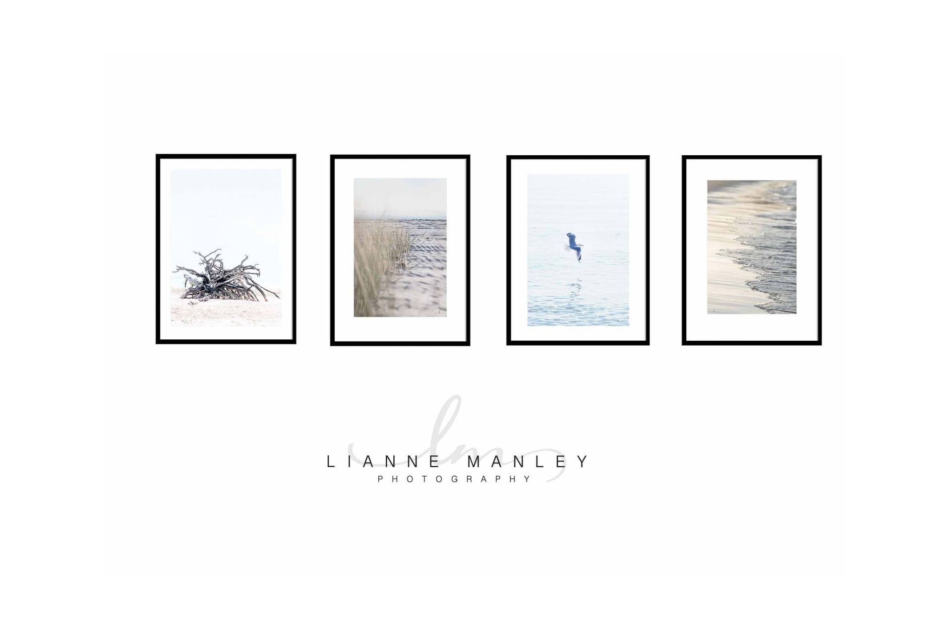Whitsunday Collection