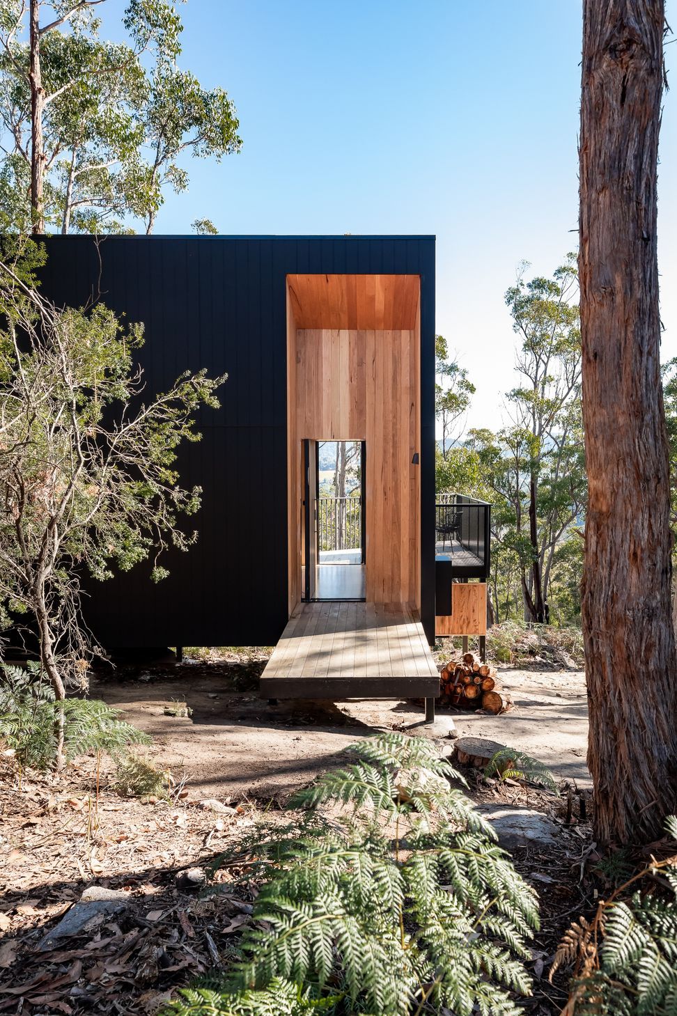 NMP6562HunterHuonNatashaMulhall.jpg