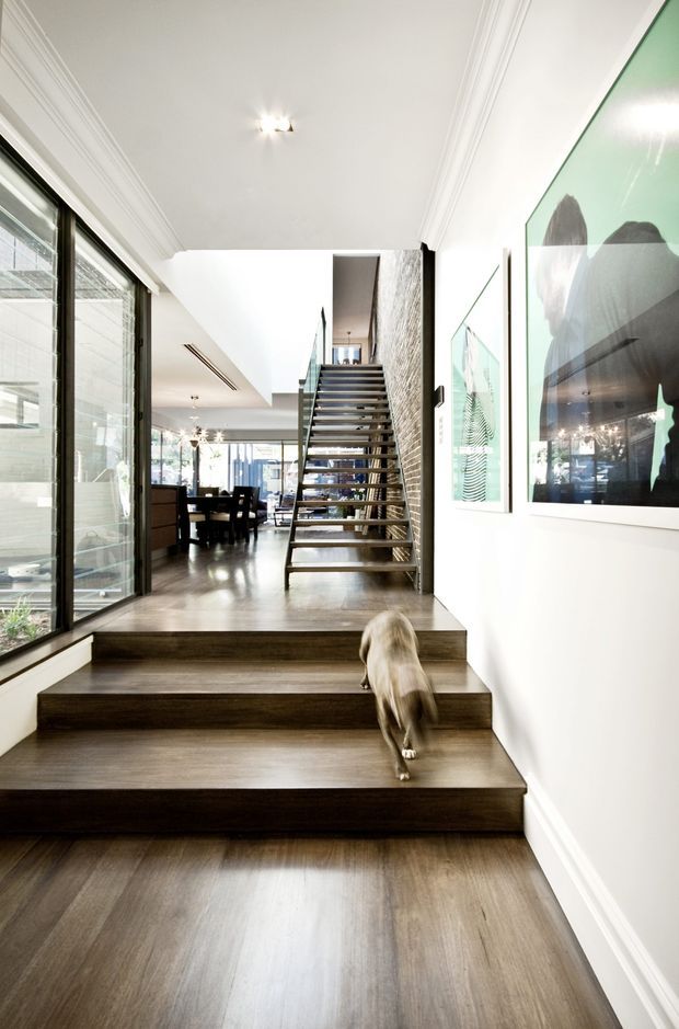 Bright contemporary residential interior showing a timber-finished entry stair and landing leading toward an open dining and living area. The space features white walls and ceiling with decorative cornice mouldings, dark timber flooring and stair treads, a floating open-riser staircase with slender metal supports and glass balustrade, a textured stone or brick feature wall, extensive black-framed glazing, and framed artwork. A dog is visible on the stairs.