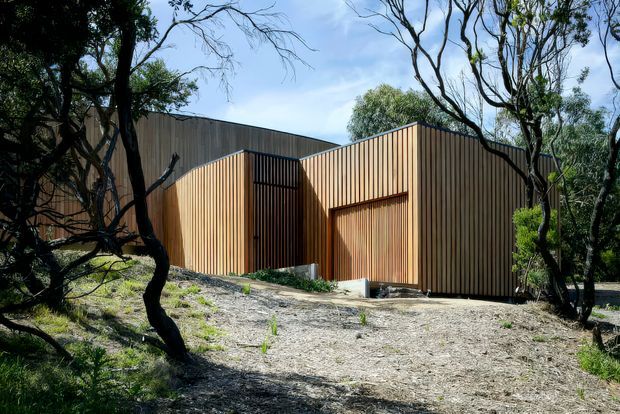 Exterior view of a low, angular building clad in closely spaced vertical timber battens. The warm wood facade forms intersecting box-like volumes with a recessed entrance or large door, set within a sparse natural woodland landscape. Dark tree trunks frame the composition and cast shadows across the gravelly ground.