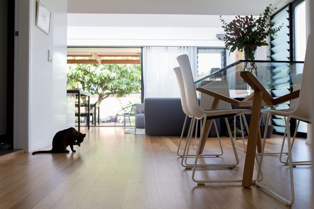 Bright contemporary open-plan dining and living area with a light timber floor, a glass dining table, sculptural white dining chairs, and a grey sofa beyond. Full-height glazing and an open connection to an outdoor area bring in abundant daylight, while a dark-framed louvred window adds a strong architectural detail. A cat is present in the foreground.