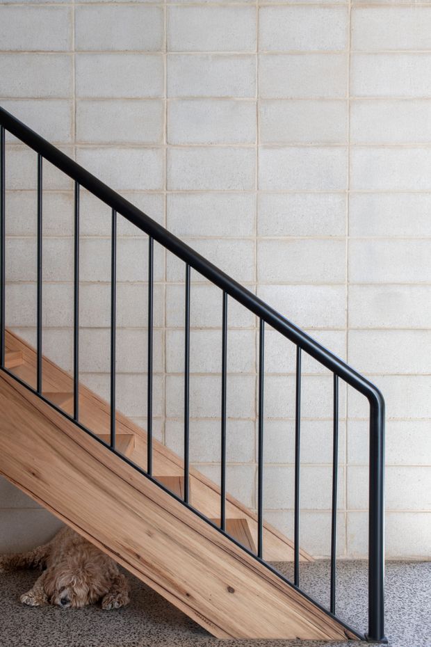 Close-up architectural photograph of a timber staircase with slim black metal balustrade set against a pale exposed concrete block wall. The stair structure and warm wood treads dominate the frame, with a small dog resting beneath and a speckled hard floor visible at the base.