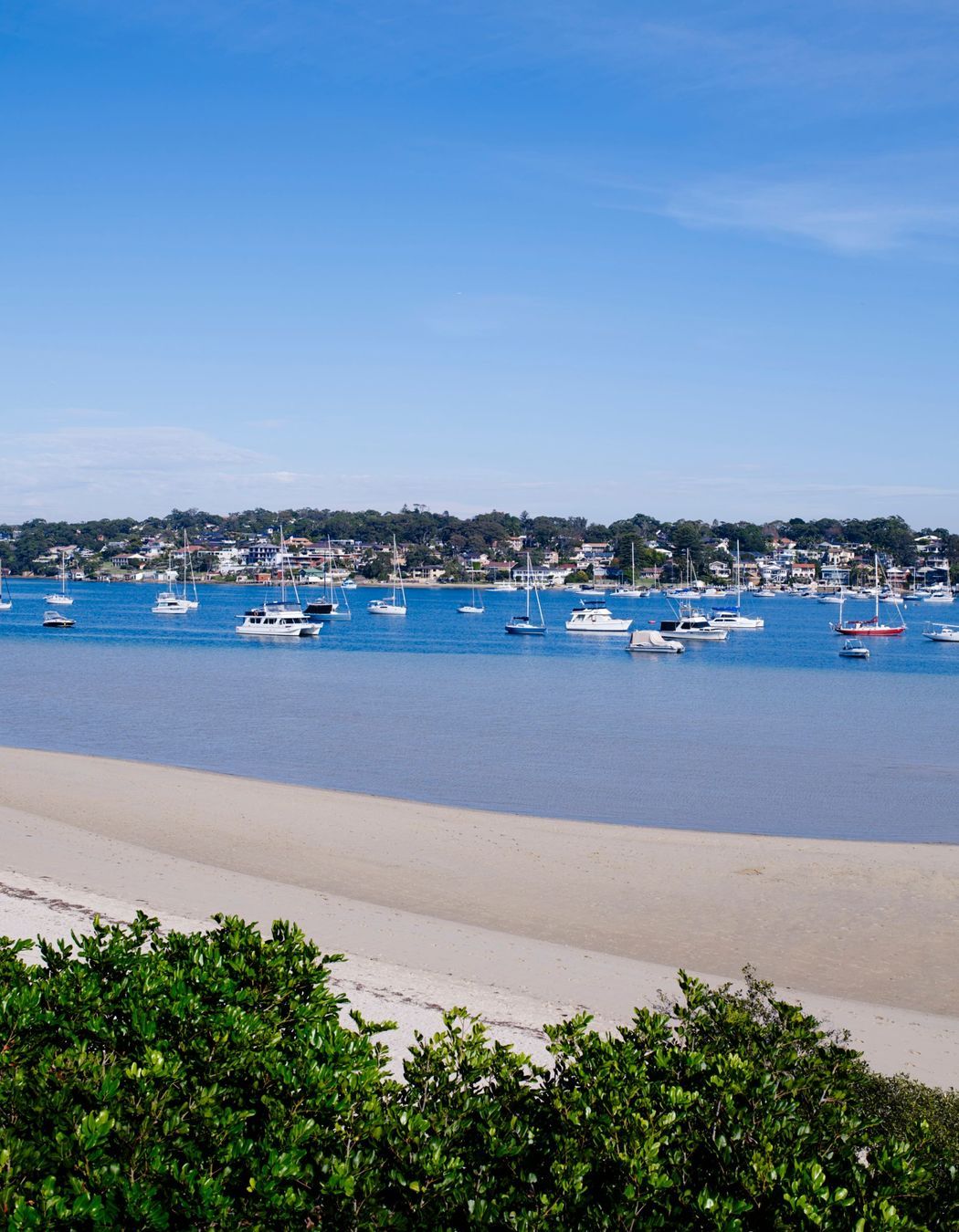 Photography: Prue Roscoe